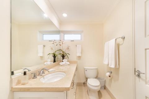 Palm Beach, Unit 206 Condominium/Apartment For Rent in Barbados