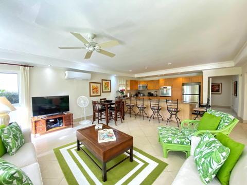 Palm Beach 211 Barbados Beachfront Vacation Condo Rental Living Room with Tv and Seating