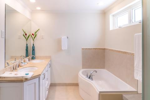 Beachfront Holiday Rental Barbados Palm Beach 410 Master Bathroom Tub and Vanity