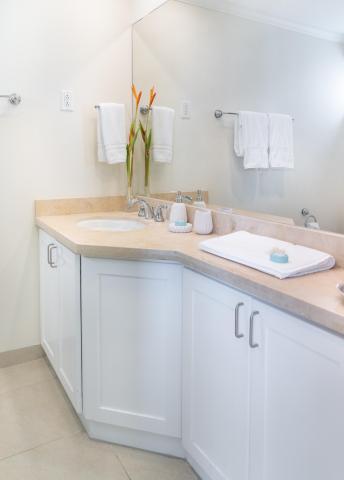 Beachfront Holiday Rental Barbados Palm Beach 410 Bathroom 2