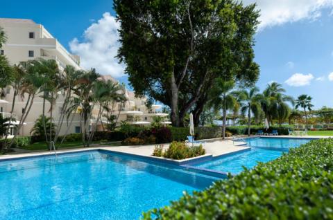 A stunning communal swimming pool at Palm Beach 101, Barbados, surrounded by lush tropical gardens, palm trees, and lounge chairs for relaxation