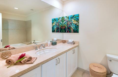 A well-appointed third bathroom at Palm Beach 101 in Barbados, featuring a walk-in shower, neutral-toned vanity, and stylish accents.