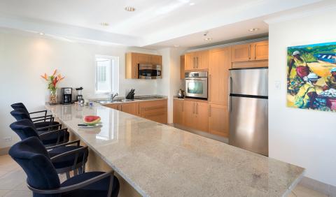 Palm Beach, Unit 509 Condominium/Apartment For Rent in Barbados